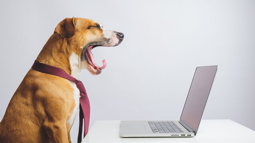 How To Keep Your Team Motivated, Remotely