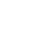 IT Audit